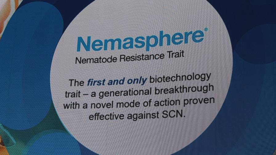 BASF to Introduce Nemasphere Trait to Combat SCN