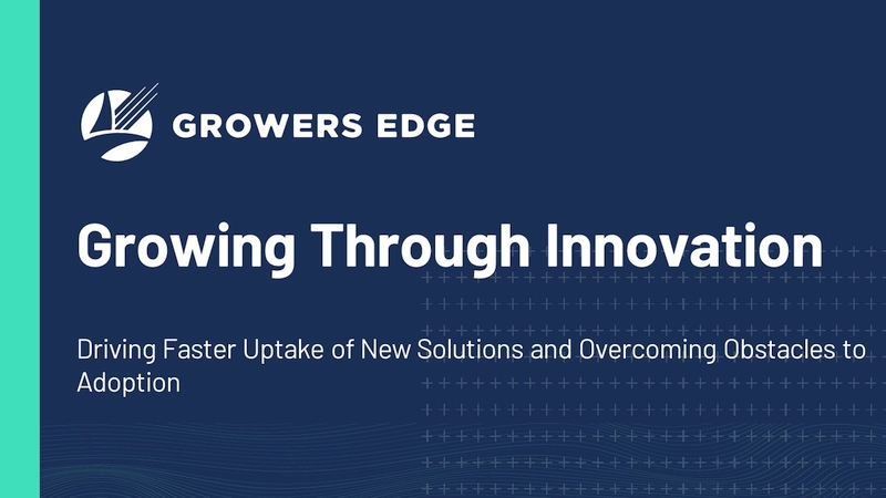 Growing Through Innovation: 5 Ways to Drive Faster Uptake of New Solutions