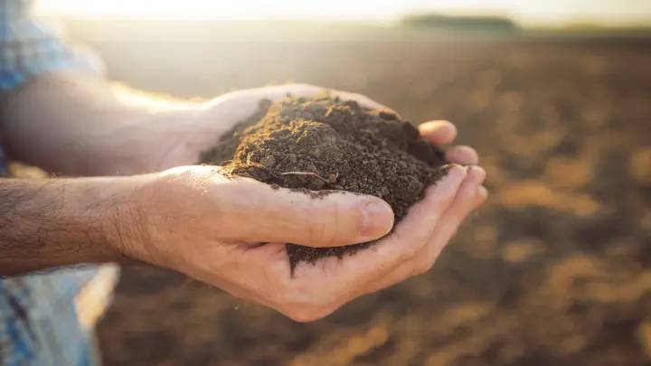 New Soil Protection System Contributes to Sustainable Farming Efforts