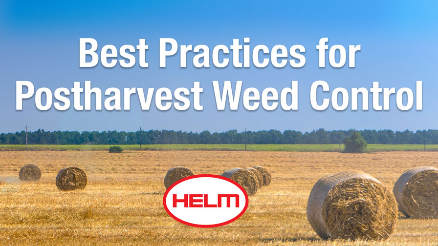 Best Practices for Postharvest Weed Control