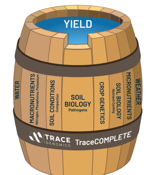 Using Soil DNA to Better Understand Yield-Limiting Factors