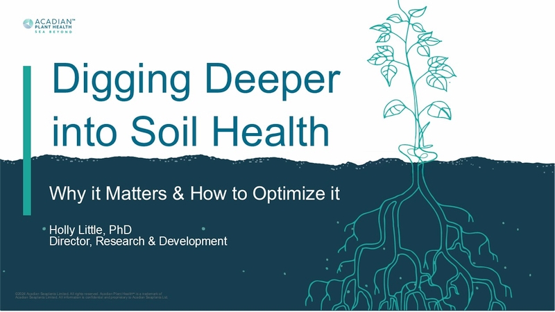 Digging Deeper Into Soil Health: Why It Matters and How to Optimize It