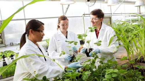 Bayer Awards Incubator Opportunity to Genvor