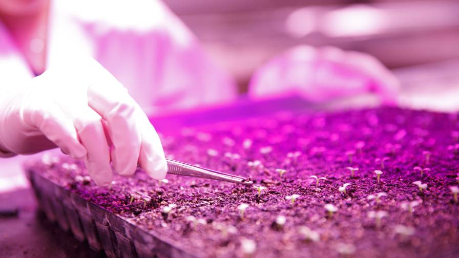 Cultivating Tomorrow: BioLumic CEO on Leveraging ‘A-Ha’ Moments to Drive AgTech Innovation