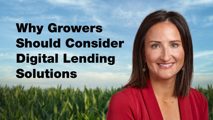 Why Growers Should Consider Digital Lending Solutions