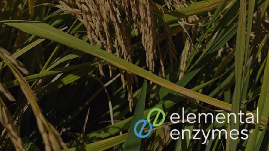 AgIdea and Elemental Enzymes Sign Three-Year Agreement for Early-Stage Product Development in the U.S.