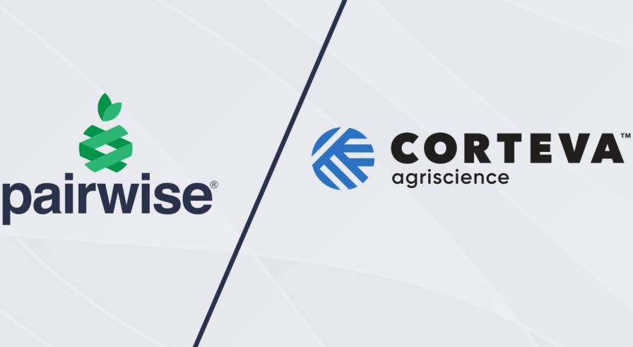 Corteva, Pairwise Join Forces to Accelerate Gene Editing, Advance Climate Resilience in Agriculture