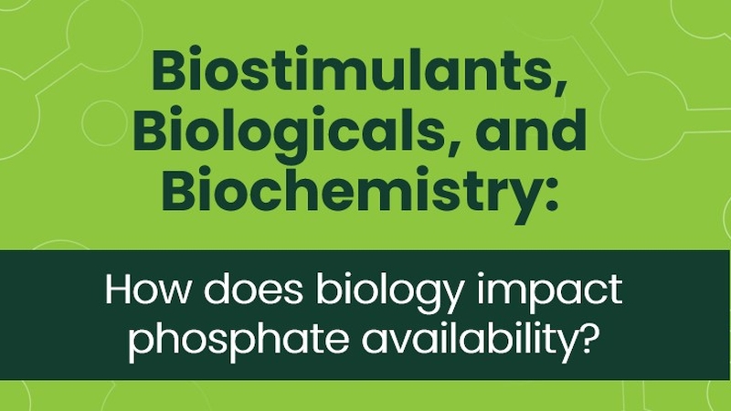 Understanding Phosphate Availability: The Role of Biology in Modern Agriculture