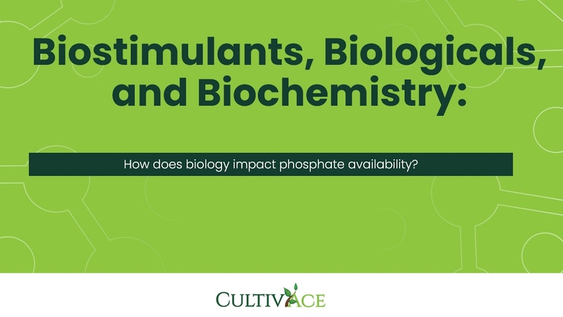 Understanding Phosphate Availability: The Role of Biology in Modern Agriculture